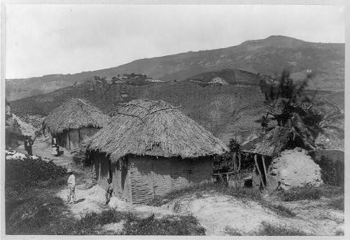 Исторически находки Снимка: Туземные хижа, Барбадос,1890-1923, Сламени покриви