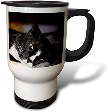 3 Чаша за пътуване Черно-бяла котка в смокинг, да лежи с отворени очи, 14 грама, Многоцветен