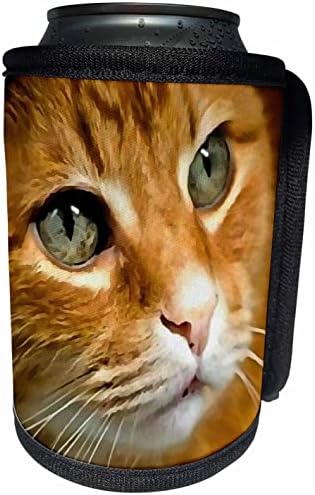 Триизмерна Очарователна Червена Раирана котка, Позирующая Арт Портрет на домашен Любимец - Опаковки за бутилки-охладител (cc-361196-1)