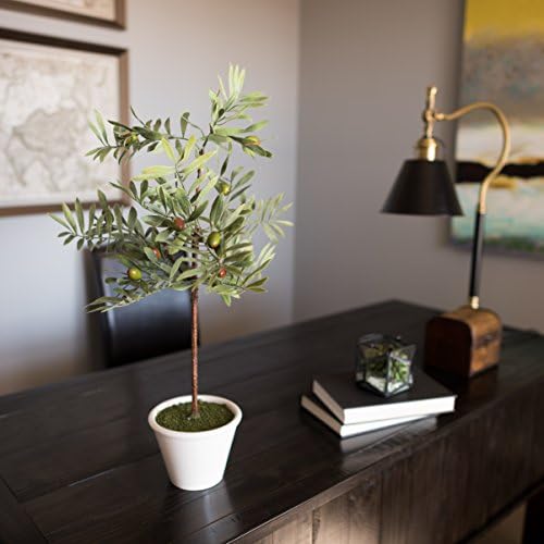 Изкуствено Зелено Маслиново дърво Vickerman всеки ден с Височина 27 сантиметра - Реалистичен Декор За вашия