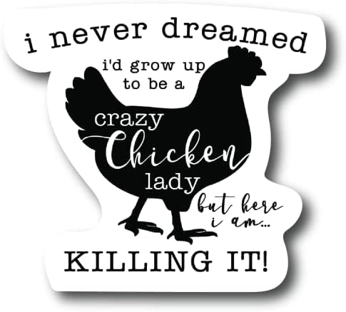 2 Опаковки Crazy Chicken Lady Забавен Стикер 4. in Стикер за Бронята на Автомобила, Лаптоп, Винил Ламиниран