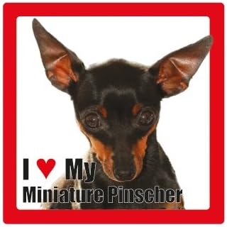 Керамични квадратна поставка за снимки на Аз обичам моя куче с името породи (Мини пинчер)
